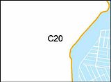 C20