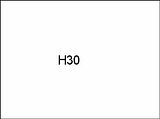 H30