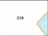 C19