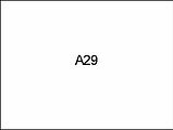 A29
