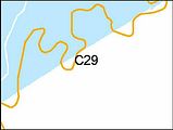 C29