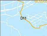 D11