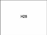 H28