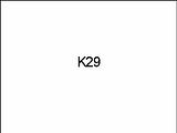 K29